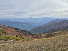Грузия, Аджария